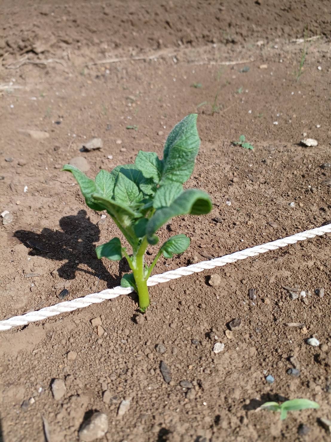 画像 -20240913-122505-36451f38